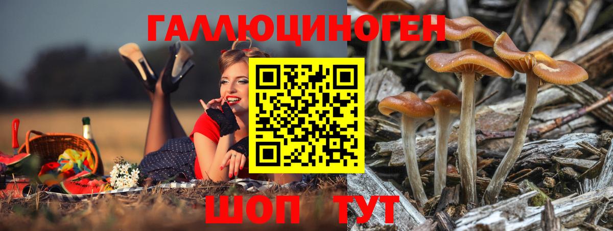 где найти наркотики  Псилоцибиновые грибы MAGIC MUSHROOMS  Вход с VPN  Дербент 