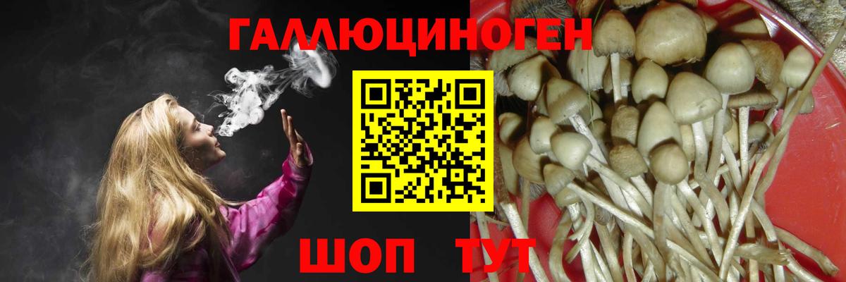 Галлюциногенные грибы прущие грибы Дербент